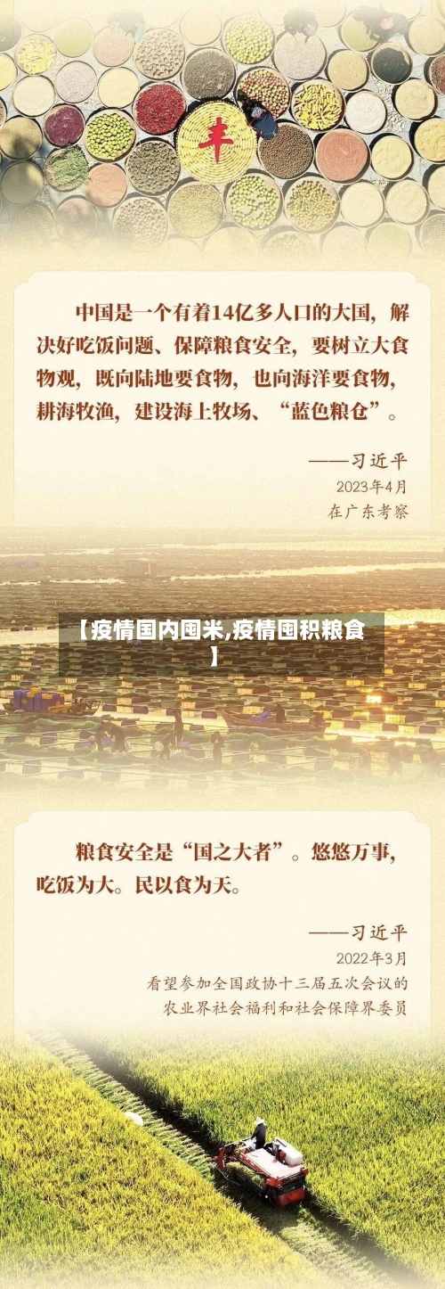 【疫情国内囤米,疫情囤积粮食】