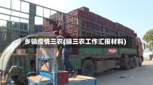 乡镇疫情三农(镇三农工作汇报材料)