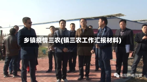 乡镇疫情三农(镇三农工作汇报材料)-第2张图片