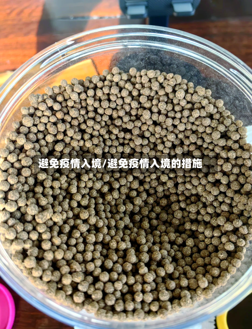 避免疫情入境/避免疫情入境的措施