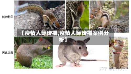 【疫情人际传播,疫情人际传播案例分析】