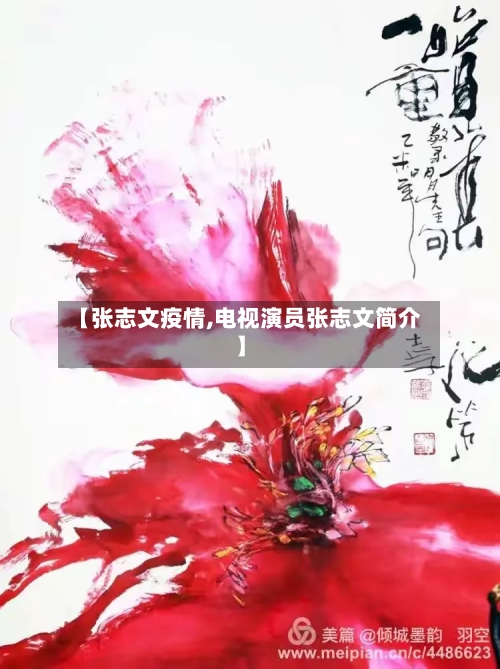 【张志文疫情,电视演员张志文简介】