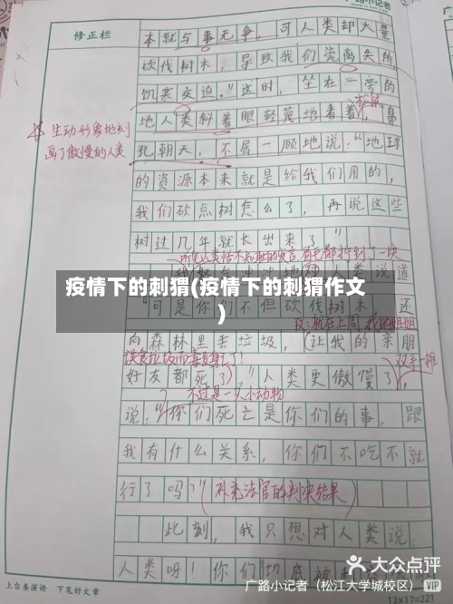 疫情下的刺猬(疫情下的刺猬作文)