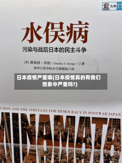 日本疫情严重嘛(日本疫情真的有我们想象中严重吗?)-第3张图片