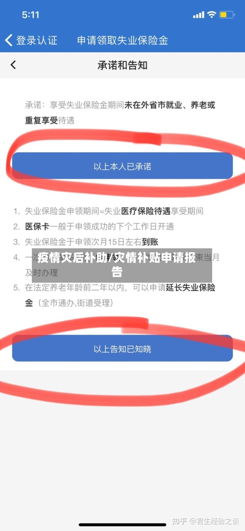 疫情灾后补助/灾情补贴申请报告