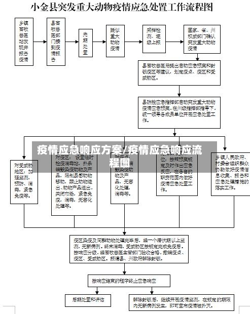 疫情应急响应方案/疫情应急响应流程图