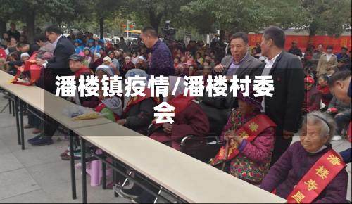 潘楼镇疫情/潘楼村委会-第2张图片