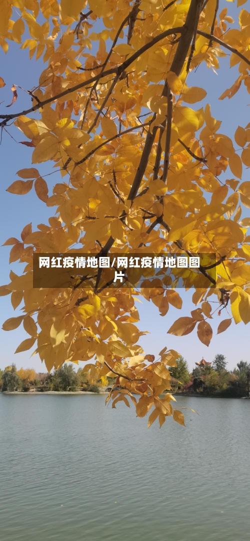 网红疫情地图/网红疫情地图图片