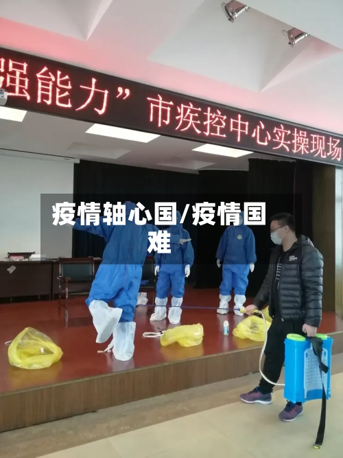 疫情轴心国/疫情国难-第2张图片