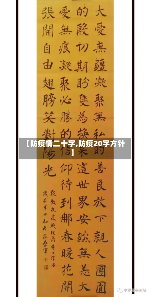 【防疫情二十字,防疫20字方针】-第2张图片