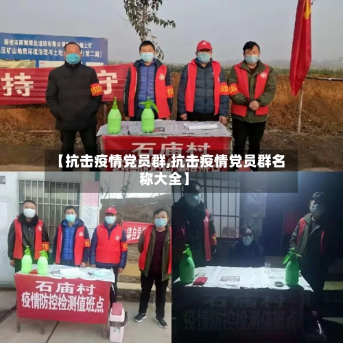 【抗击疫情党员群,抗击疫情党员群名称大全】