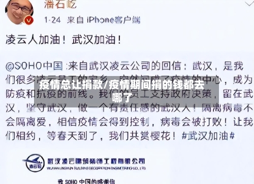 疫情总让捐款/疫情期间捐的钱都去哪了-第3张图片