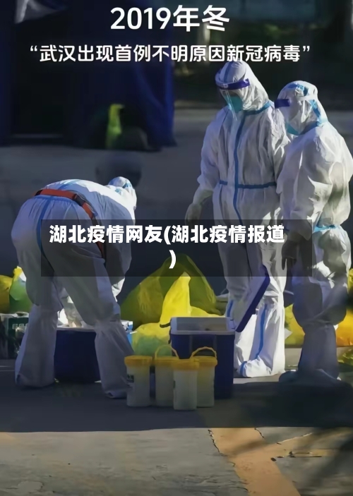 湖北疫情网友(湖北疫情报道)-第3张图片