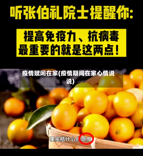 疫情赋闲在家(疫情期间在家心情说说)-第3张图片