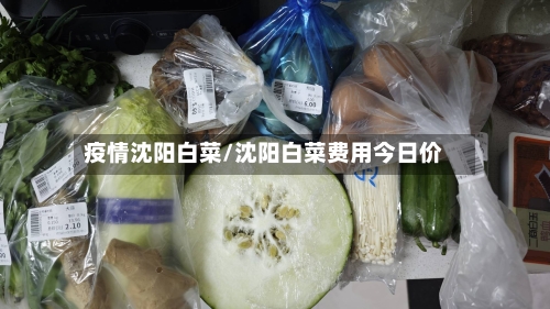疫情沈阳白菜/沈阳白菜费用今日价