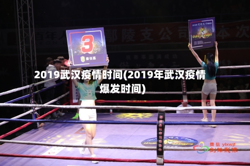 2019武汉疫情时间(2019年武汉疫情爆发时间)-第2张图片