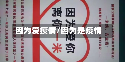 因为爱疫情/因为是疫情-第2张图片