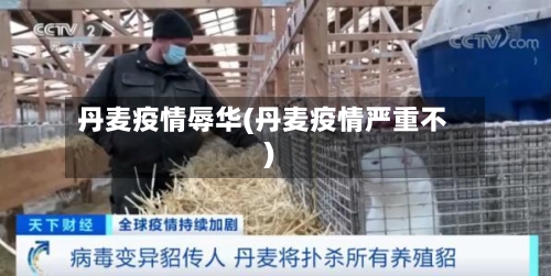 丹麦疫情辱华(丹麦疫情严重不)-第2张图片