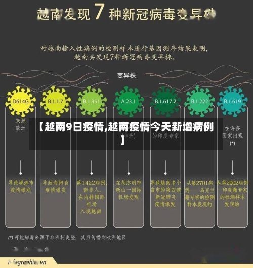 【越南9日疫情,越南疫情今天新增病例】-第2张图片