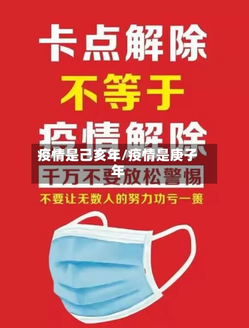 疫情是己亥年/疫情是庚子年-第3张图片