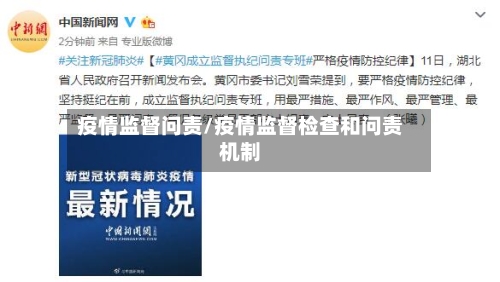 疫情监督问责/疫情监督检查和问责机制-第2张图片