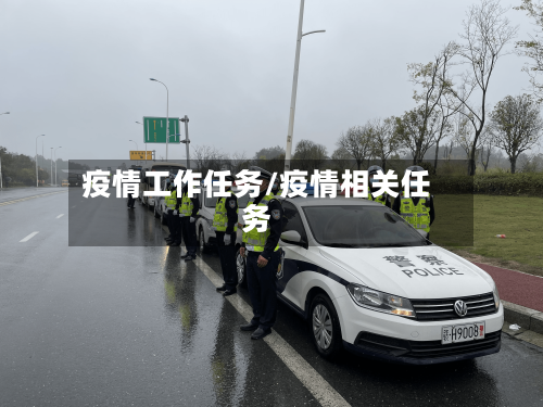 疫情工作任务/疫情相关任务