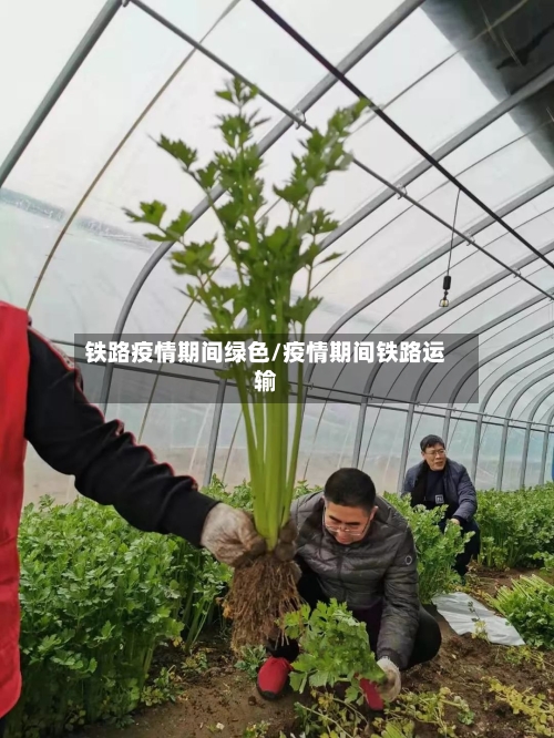 铁路疫情期间绿色/疫情期间铁路运输