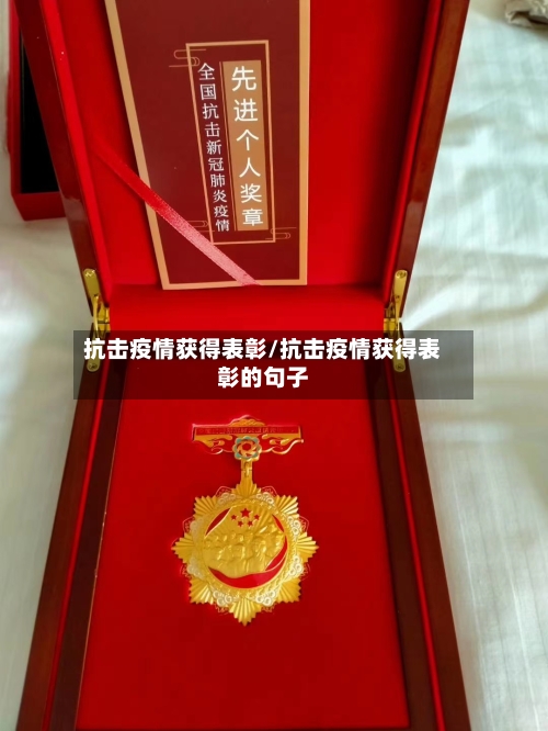抗击疫情获得表彰/抗击疫情获得表彰的句子-第2张图片