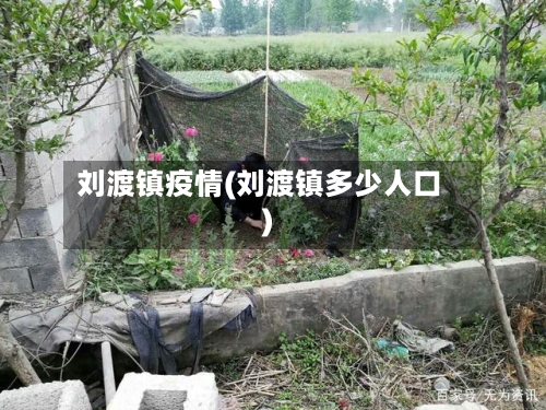 刘渡镇疫情(刘渡镇多少人口)