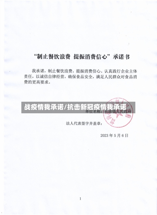 战疫情我承诺/抗击新冠疫情我承诺-第2张图片