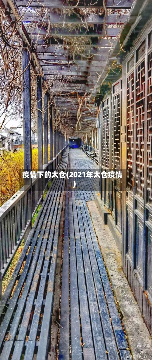 疫情下的太仓(2021年太仓疫情)