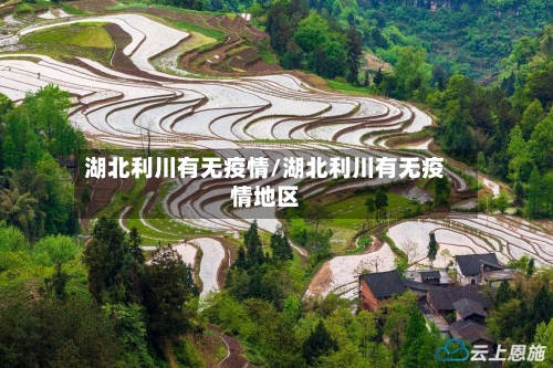 湖北利川有无疫情/湖北利川有无疫情地区