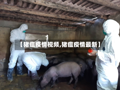 【猪瘟疫情视频,猪瘟疫情最新】