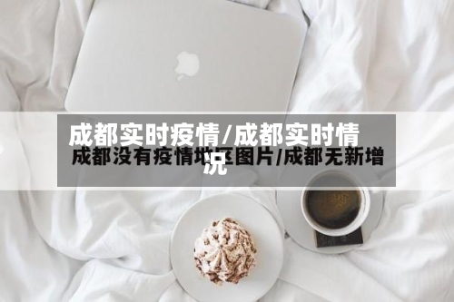 成都实时疫情/成都实时情况-第2张图片