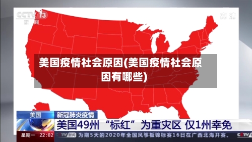 美国疫情社会原因(美国疫情社会原因有哪些)-第2张图片