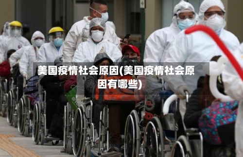 美国疫情社会原因(美国疫情社会原因有哪些)
