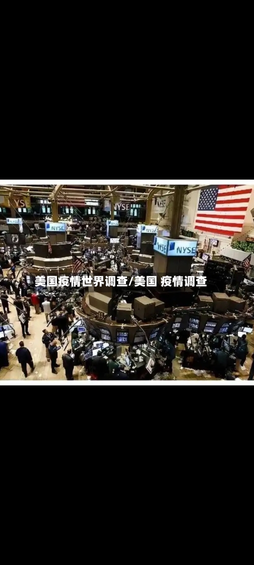 美国疫情世界调查/美国 疫情调查