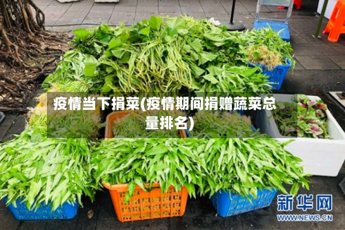 疫情当下捐菜(疫情期间捐赠蔬菜总量排名)-第2张图片