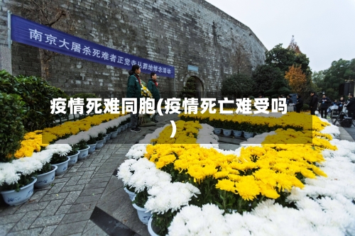 疫情死难同胞(疫情死亡难受吗)