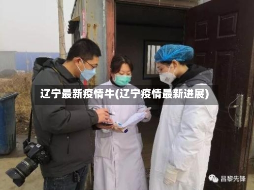 辽宁最新疫情牛(辽宁疫情最新进展)-第2张图片