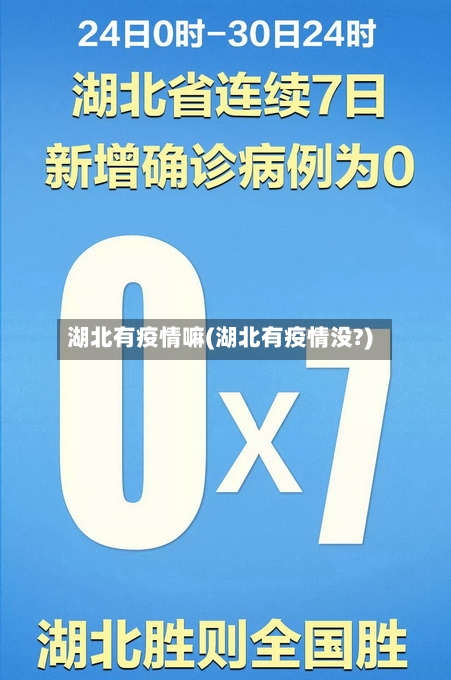 湖北有疫情嘛(湖北有疫情没?)