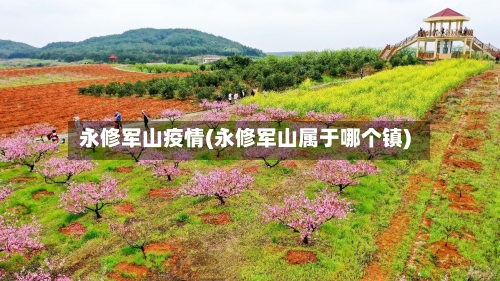 永修军山疫情(永修军山属于哪个镇)-第2张图片