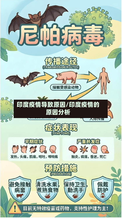 印度疫情导致原因/印度疫情的原因分析-第3张图片