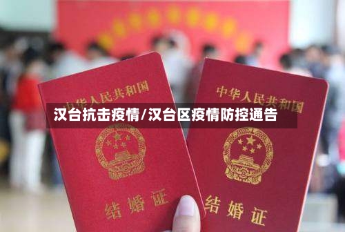 汉台抗击疫情/汉台区疫情防控通告
