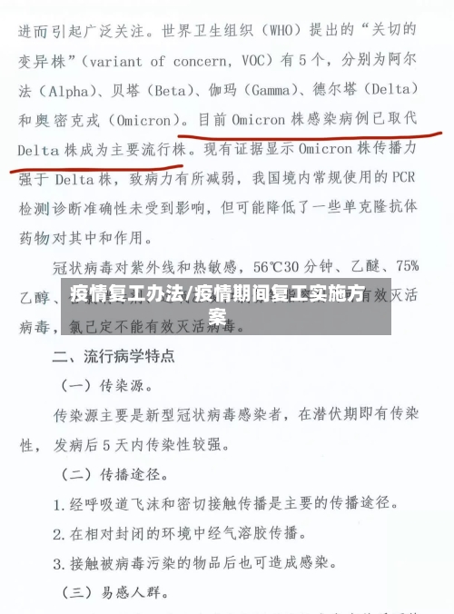 疫情复工办法/疫情期间复工实施方案-第2张图片