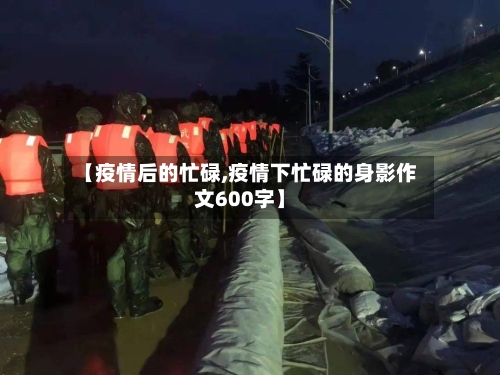 【疫情后的忙碌,疫情下忙碌的身影作文600字】