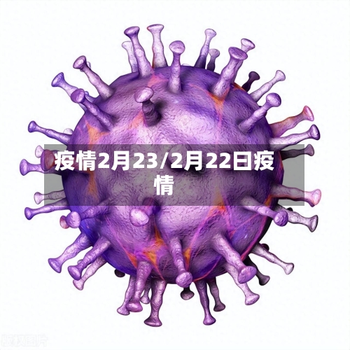 疫情2月23/2月22曰疫情