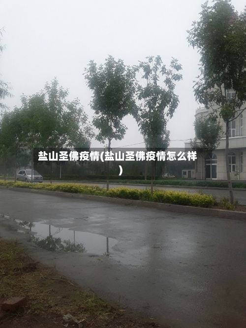 盐山圣佛疫情(盐山圣佛疫情怎么样)-第2张图片