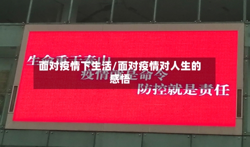 面对疫情下生活/面对疫情对人生的感悟