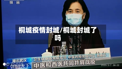 桐城疫情封城/桐城封城了吗-第3张图片